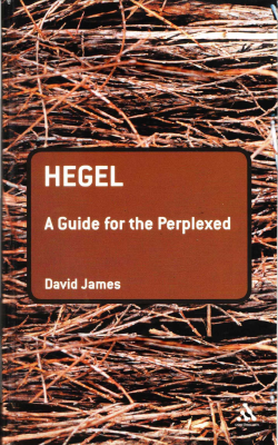 Hegel_ A Guide for the Perplexed.pdf